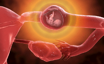 9801066102 - Sharda Women Hospital in Patna is a leading center for Gynaecology, Maternity, and women’s health care. Led by Dr. Khushbu Tewary, the hospital offers expert treatment in pregnancy, infertility, and laparoscopic surgery. With modern facilities and compassionate care, it’s a trusted choice for women across Patna,Sharda Women Hospital is dedicated to wellbeing of Women. All kinds of services available such as 24 hours emergency delivery and caeserian facility, all kinds of gynaecological and general surgery cases done here. Latest techniques such as laparoscopy and hysteroscopy done here best gynecologist hospital in patna, gynecologist hospital in patna, gynecologist in patna, top 5 gynecologist hospital in patna, top 10 gynecologist hospital in patna, best gynecology hospital in patna, gynecology hospital in patna, gynecology in patna, top 5 gynecology hospital in patna, gynaecologist in patna, top 5 gynaecologist in patna, best gynaecologist hospital in patna, gynaecologist hospital in patna, gynaecologist in patna near me,Best gynaecologist in patna, gynaecologist near me, gynaecologist in rukanpura patna, top 3 gynaecologist in patna, top 10 lady doctor in patna. top lady doctor in patna, ladies specialist doctor in patna, best hospital for normal delivery in patna, best maternity hospital in patna, general physician in patna. Best gynaecologist in patna, Best gynecologist in patna.